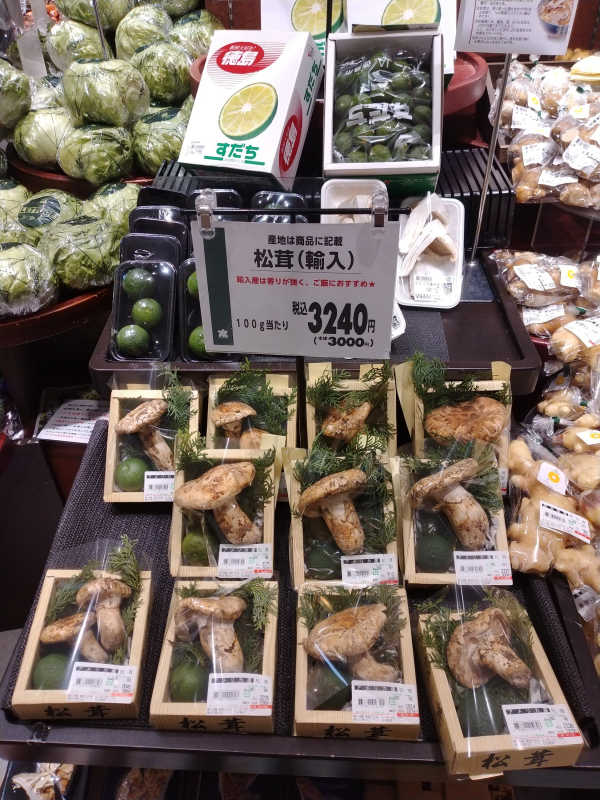 秋の味覚『松茸』始まりました！ | ショップブログ | 日吉東急アベニュー
