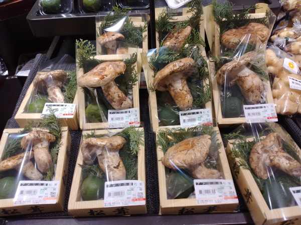 秋の味覚『松茸』始まりました！ | ショップブログ | 日吉東急アベニュー